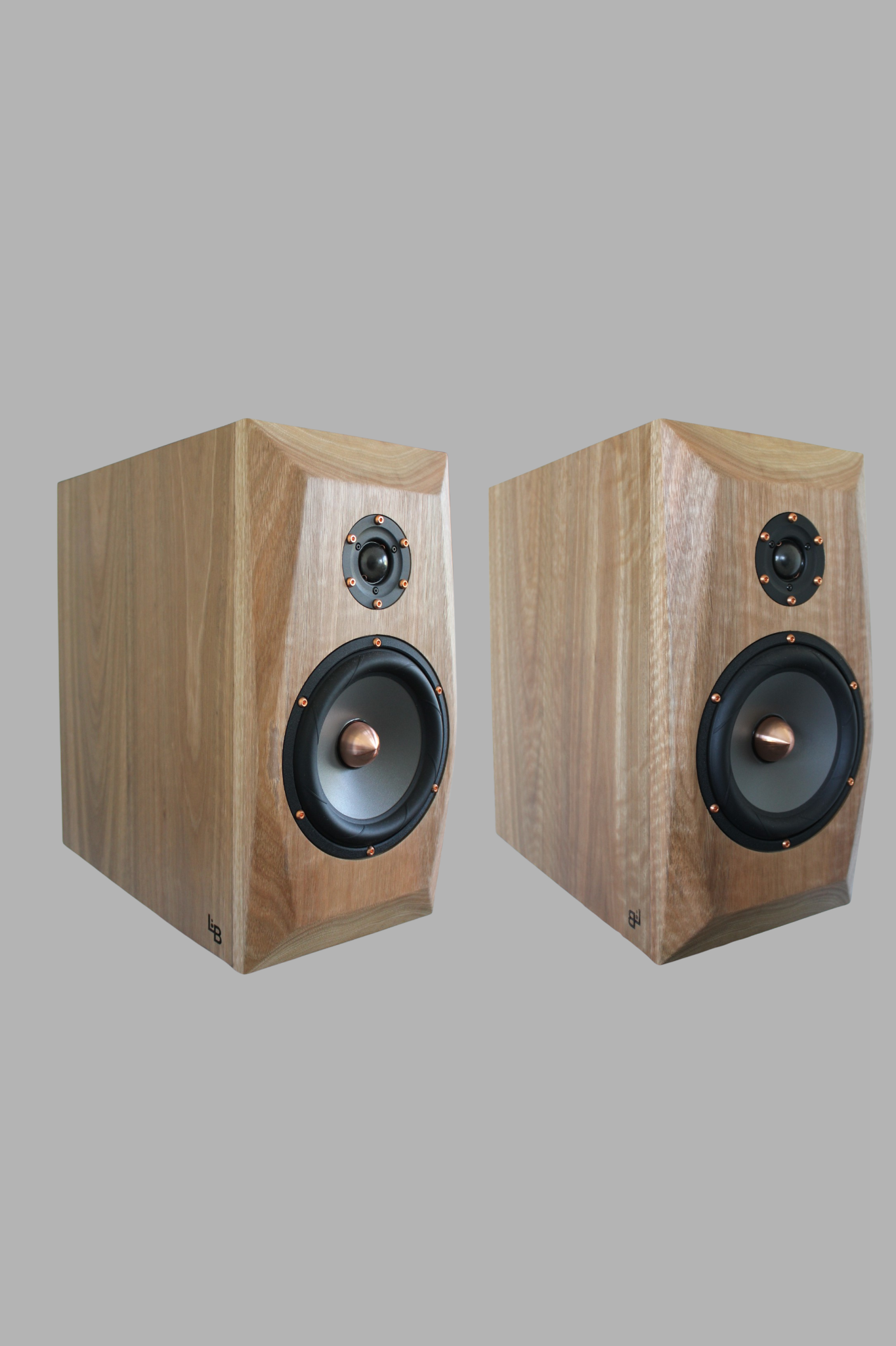 Speakers. Pair System 1 Speakers only